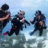 PADI Open Water Course, Gold Coast PADI Open Water Course, Gold Coast