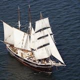 Tall Ship Afternoon Discovery Cruise Tall Ship Afternoon Discovery Cruise