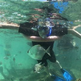 Eco Marine Cruise with Brisbane Transfers