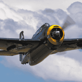 Exclusive Grumman Avenger Flight