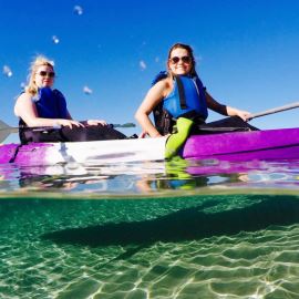 Morning Dolphin Kayaking and Snorkeling Tour