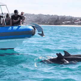 Southern Ocean Adventure for 2