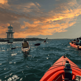 Sydney Sunset Kayak Tour