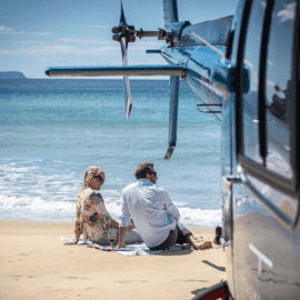Private Beach Picnic by Helicopter for Two
