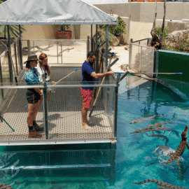 Exclusive Crocodile VIP Feeding Adventure