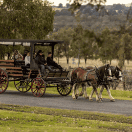 Hunter Valley Wine and Produce Journey