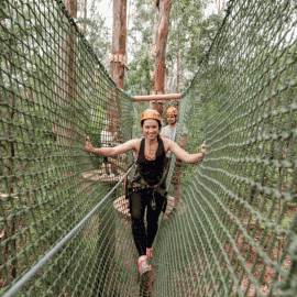 Treetops Elevated Ropes Course