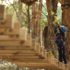 Junior Treetops Ropes Course