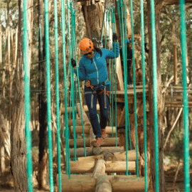 Treetops Elevated Ropes Course