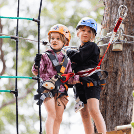 Junior Treetops Ropes Course