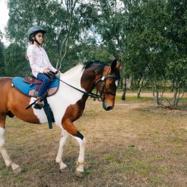 Riding Lesson at Woodlands Lodge