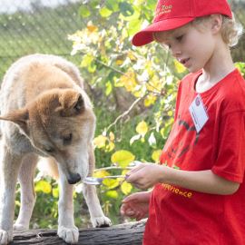 Zookeeper for a Day