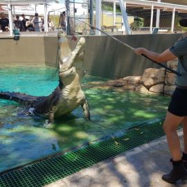 Crocosaurus Cove, Family Entry