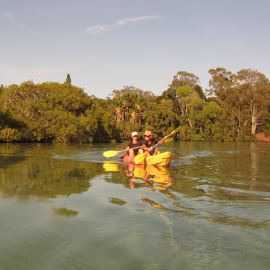 Sunset Kayaking, Brunswick River Nature Tour