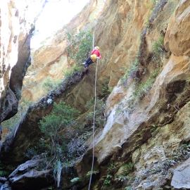 Whungee Whengee Canyon, Blue Mountains