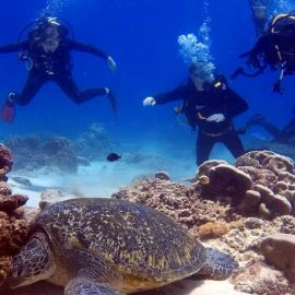 Open Water Scuba Diver Course