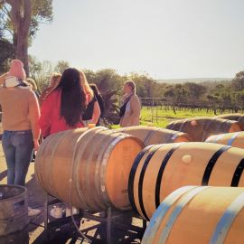 Margaret River Wine, Artisan, Forest Half-Day
