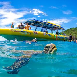 Whitsunday Islands High Speed Boat and Snorkel
