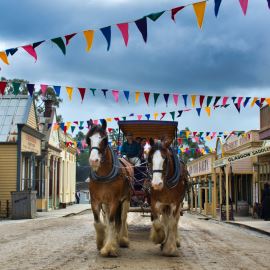 Sovereign Hill and Skydeck Bus Tour