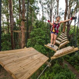 Sunshine Coast Adventure Park