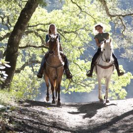 Helicopter and Horse Ride with Picnic