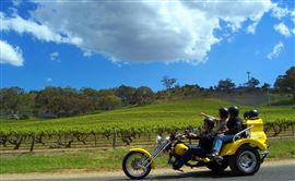 Trike Through Barossa Bliss