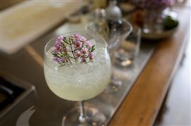Complete Gin Mixing and Tasting Experience