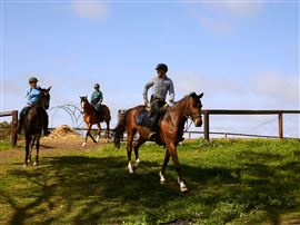 Horse Trail Ride and Tasting at Petaluma