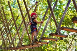 Junior Zipline Fun for Mini Adventurers