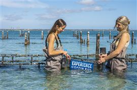 Coffin Bay Oyster Adventure
