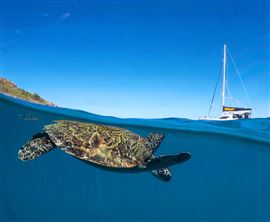 Whitsundays Private Sail