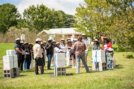Beehive to Table Hands On Honey Harvest