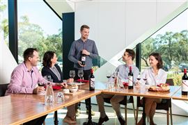 Exclusive Tour, Wine and Gin Tasting for 11