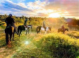 Sunset Horse Ride, 90 Minutes