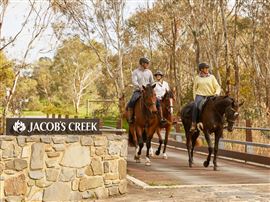 Vineyard Horse Ride and Romantic Picnic