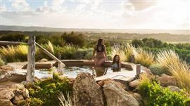 Seals, Sea Dragons and Hot Springs Escape