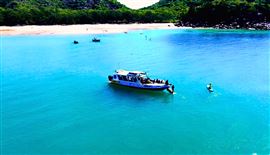 Magnetic Island Adventure Tour