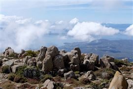 Bruny Island Gourmet Day Tour