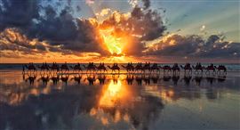 Cable Beach Sunset Camel Ride