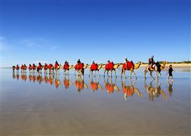Cable Beach Camel Sampler Ride