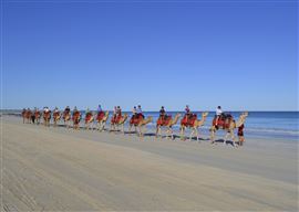 Magical Morning Camel Ride