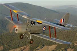 Great Lakes Tiger Moth Experience