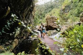Grampians National Park Wildlife Tour