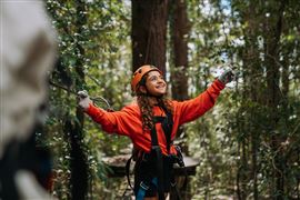 Tree Ropes Standard Session & Zipline Express