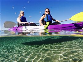 Broadwater Dolphin Kayak Tour, 2 Hours