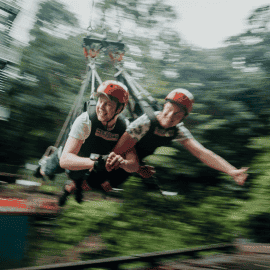 Giant Jungle Swing