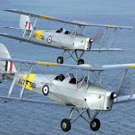 Tiger Moth Dogfight for Two
