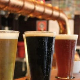 Hipsters and Hops Brewery Tour