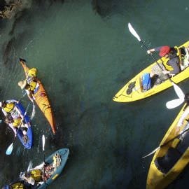 Glass-Bottom Kayak Tour