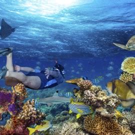 Snorkelling Wave Break Island